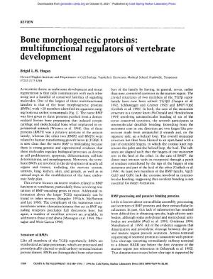 Bone Morphogenetic Proteins: Multifunctional Regulators of Vertebrate Development