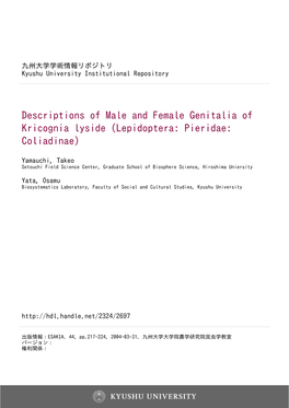 Descriptions of Male and Female Genitalia of Kricognia Lyside (Lepidoptera: Pieridae: Coliadinae)