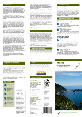 Haast Regional Walks Brochure