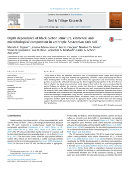 Depth Dependence of Black Carbon Structure, Elemental And