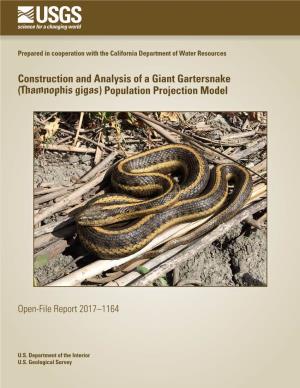 Construction and Analysis of a Giant Gartersnake (Thamnophis Gigas) Population Projection Model