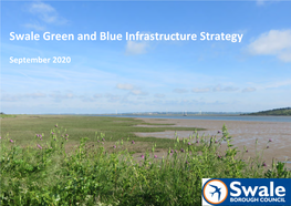 Swale GBI Strategy Is to Develop a Resilient, Central Role Within This Section