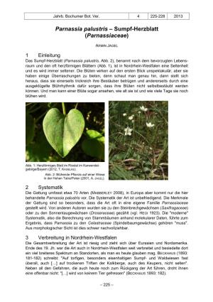 Parnassia Palustris – Sumpf-Herzblatt (Parnassiaceae)