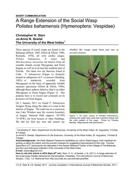 A Range Extension of the Social Wasp Polistes Bahamensis (Hymenoptera: Vespidae)