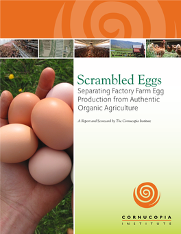 Scrambled Eggs Separating Factory Farm Egg Production from Authentic Organic Agriculture