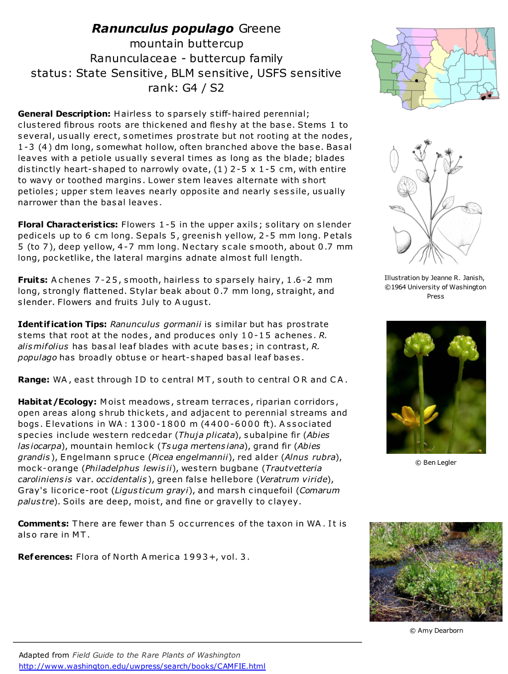 Ranunculus Populago Greene Mountain Buttercup Ranunculaceae - Buttercup Family Status: State Sensitive, BLM Sensitive, USFS Sensitive Rank: G4 / S2