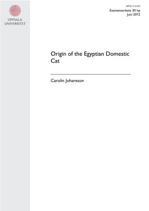 Origin of the Egyptian Domestic Cat