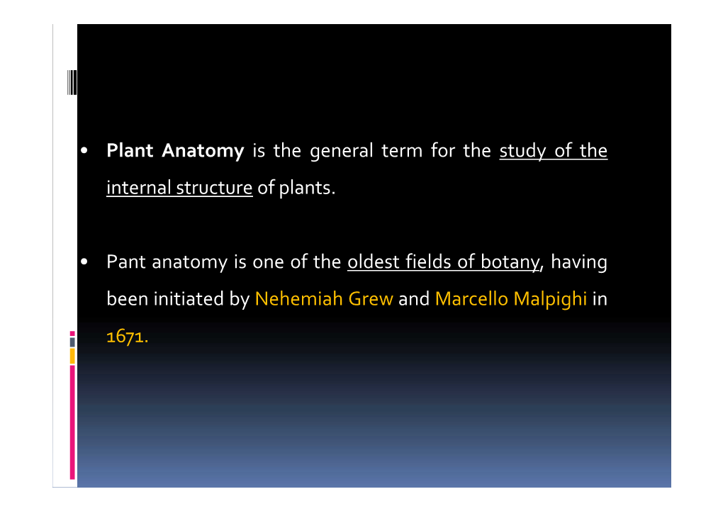 plant-anatomy-is-the-general-term-for-the-study-of-the-internal