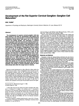 Development of the Rat Superior Cervical Ganglion: Ganglion Cell Maturation’