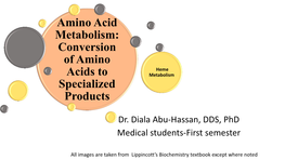 Amino Acid Metabolism: Conversion of Amino Heme Acids to Metabolism Specialized Products