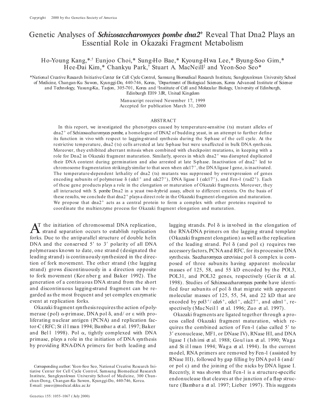 Genetic Analyses of Schizosaccharomyces Pombe Dna2؉ Reveal That Dna2 Plays an Essential Role in Okazaki Fragment Metabolism