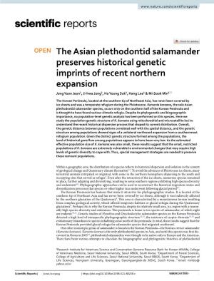 The Asian Plethodontid Salamander Preserves Historical Genetic Imprints