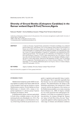 Coleoptera Carabidae) in the Ramsar Wetland: Dayet El Ferd, Tlemcen, Algeria