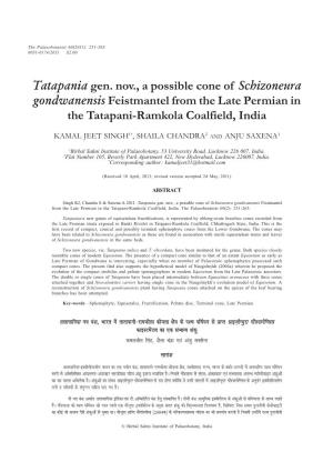 Tatapania Gen. Nov., a Possible Cone of Schizoneura Gondwanensis Feistmantel from the Late Permian in the Tatapani-Ramkola Coalfield, India