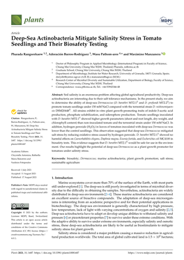 Deep-Sea Actinobacteria Mitigate Salinity Stress in Tomato Seedlings and Their Biosafety Testing