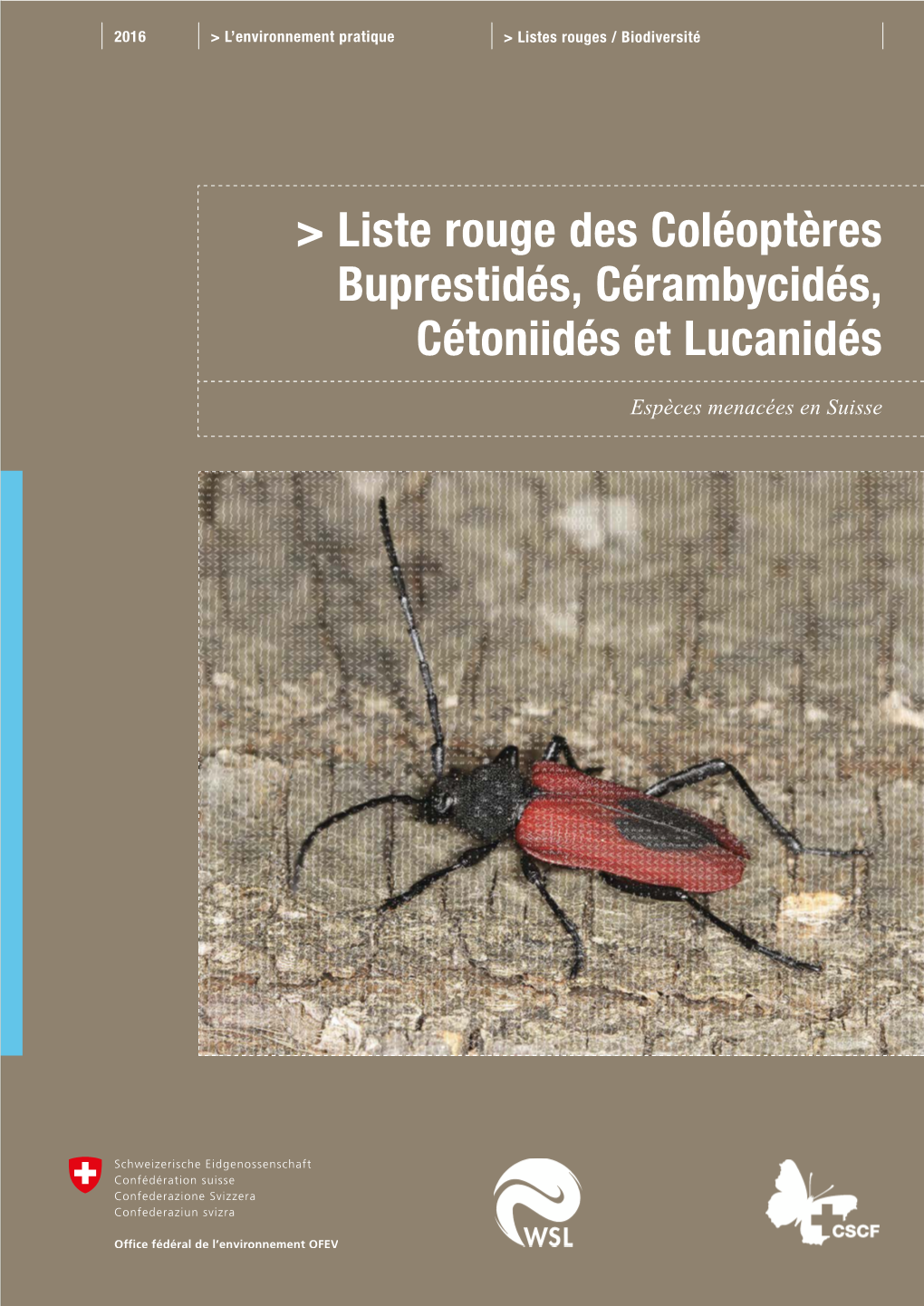 Liste Rouge Des Coléoptères Buprestidés, Cérambycidés, Cétoniidés Et Lucanidés