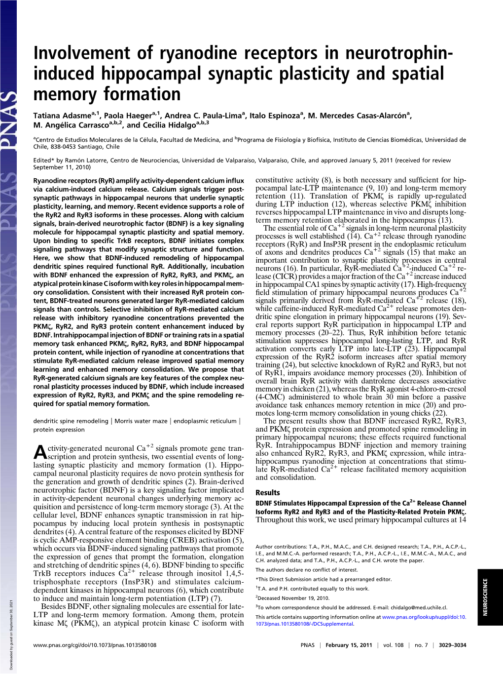 Involvement of Ryanodine Receptors in Neurotrophin- Induced Hippocampal Synaptic Plasticity and Spatial Memory Formation