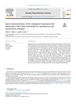 Sperm Characterization of the Endangered Amazonian Fish