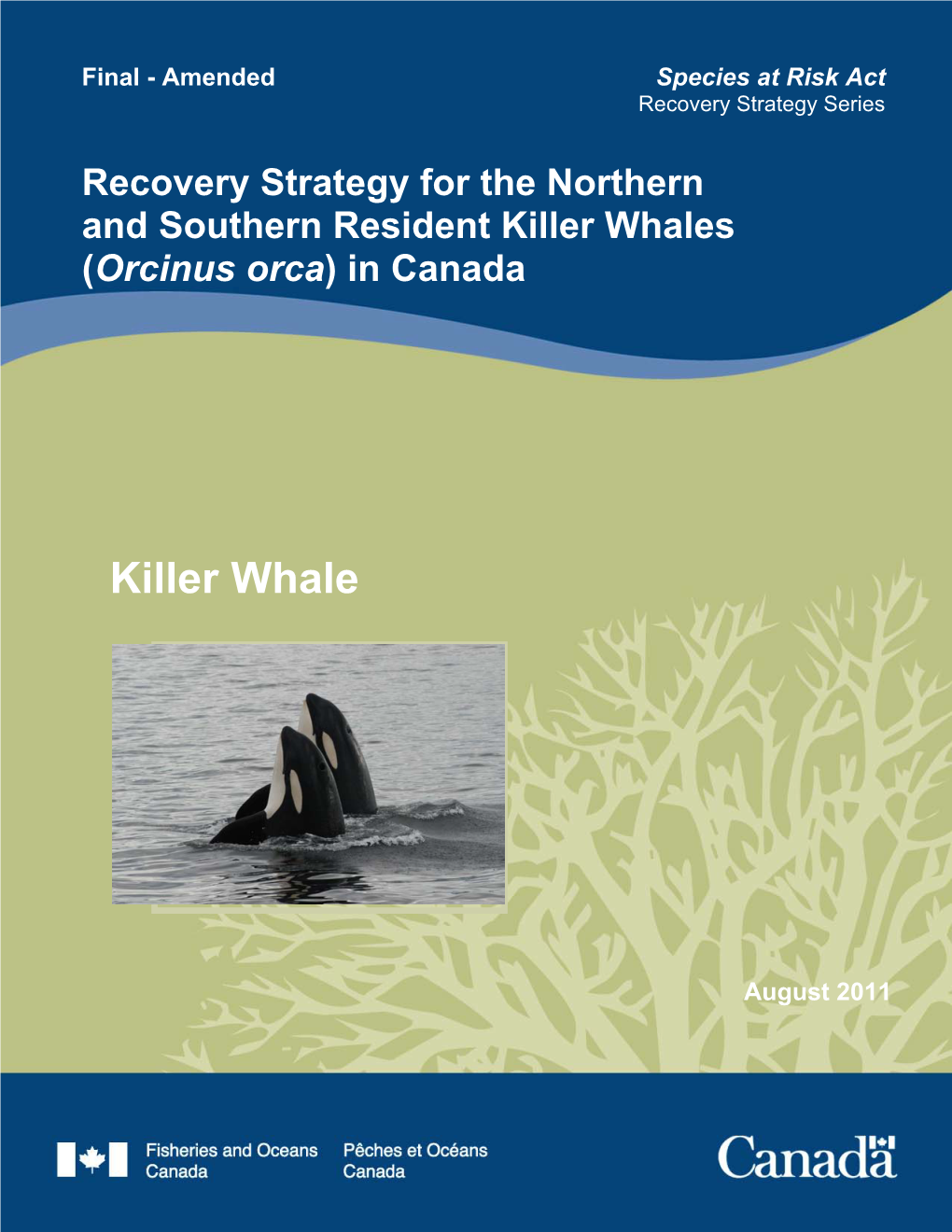2011 Final Killer Whale Recovery Strategy