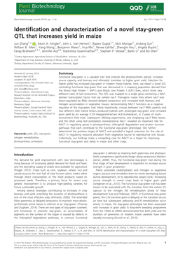 Identification and Characterization of a Novel Stay‐Green QTL That Increases Yield in Maize