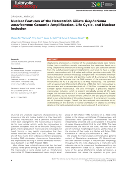 Nuclear Features of the Heterotrich Ciliate Blepharisma Americanum: Genomic Ampliﬁcation, Life Cycle, and Nuclear Inclusion