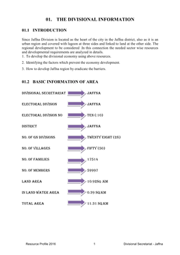 01. the Divisional Information