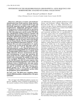 Systematics of the Hildenbrandiales (Rhodophyta): Gene Sequence and Morphometric Analyses of Global Collections1