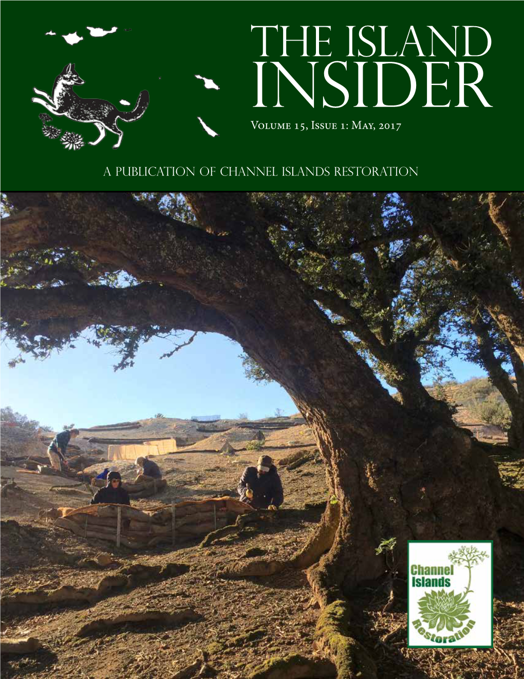 The Island Insider Volume 15, Issue 1: May, 2017