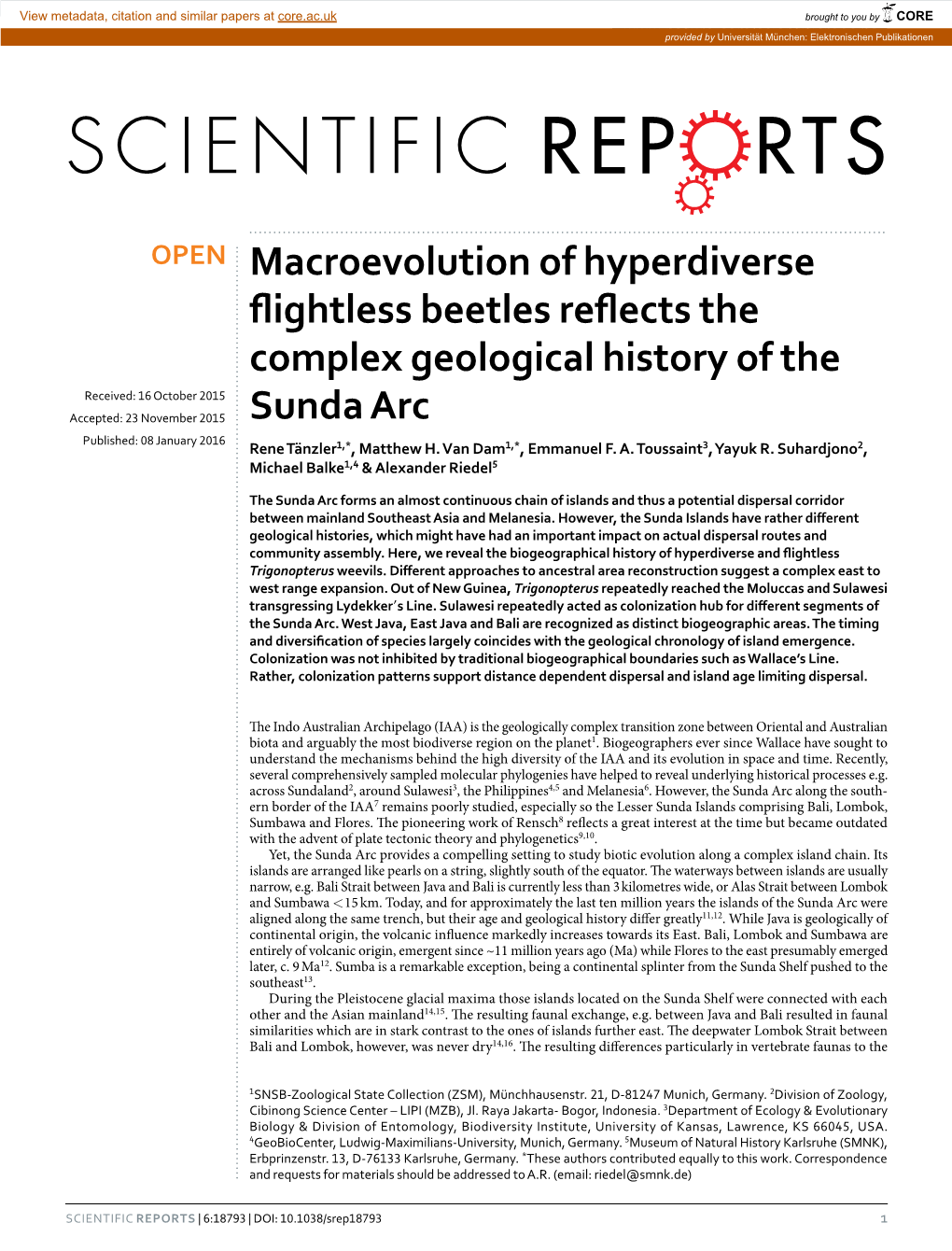 Macroevolution of Hyperdiverse Flightless Beetles Reflects The