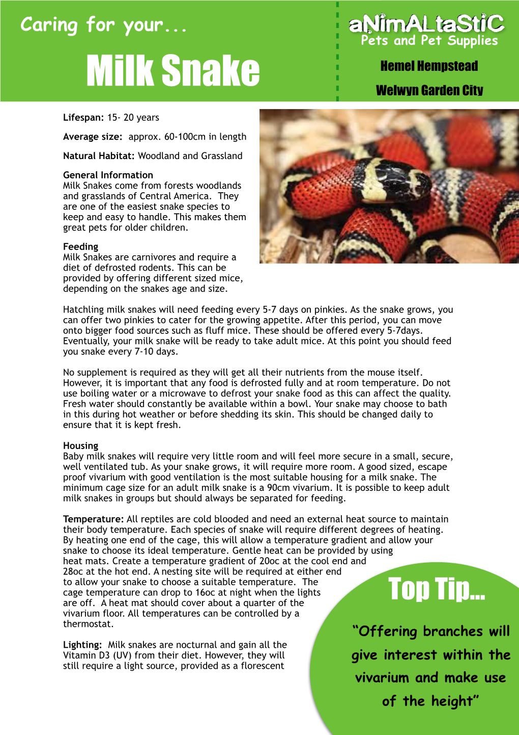 Milk Snake Caresheet-3