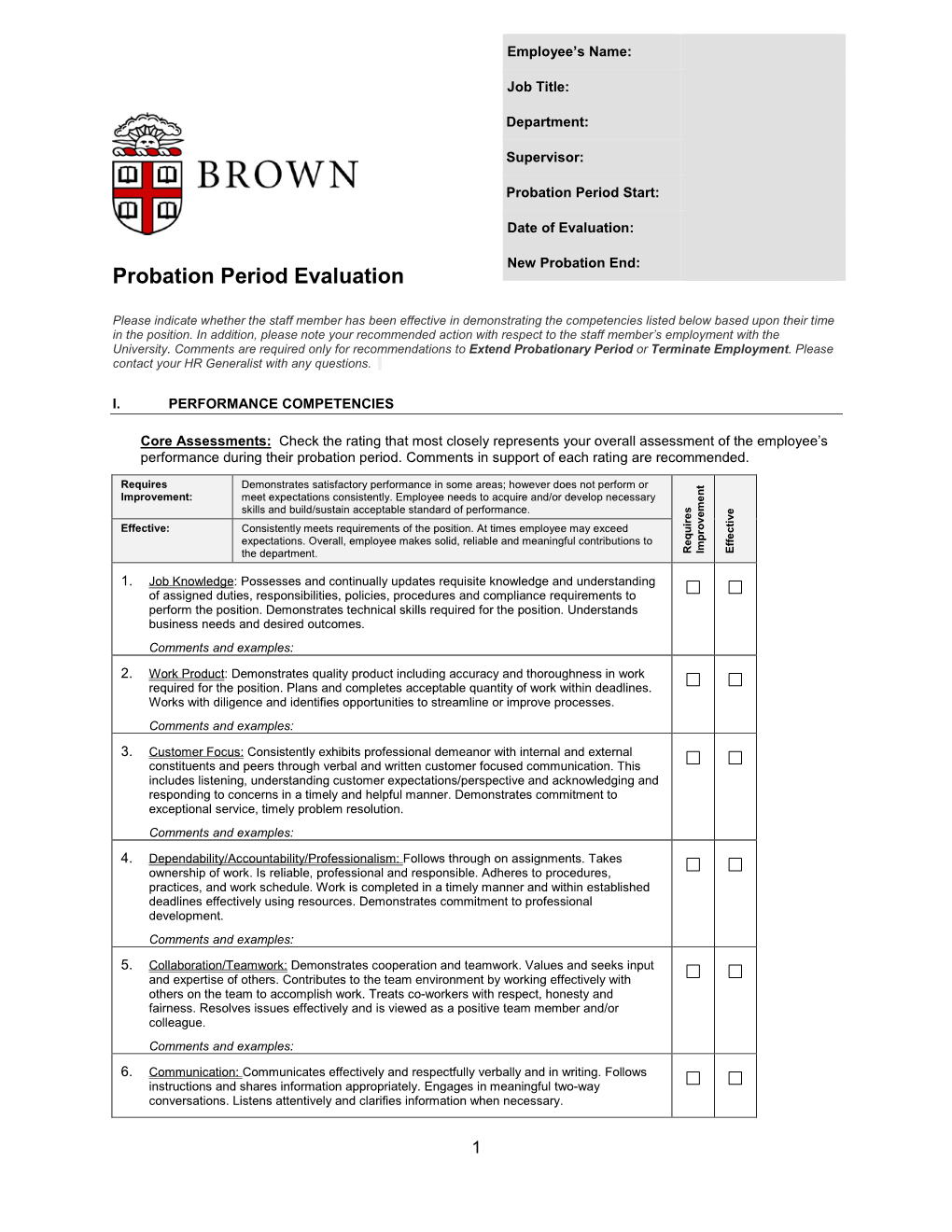 Probation Period Evaluation