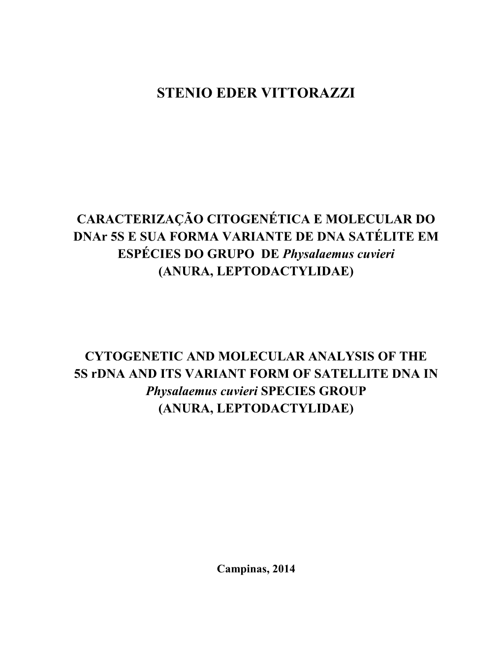 Stenio Eder Vittorazzi