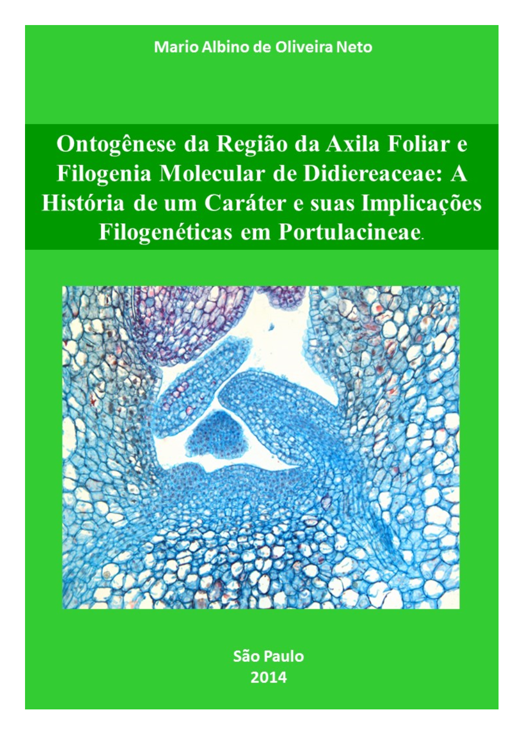 Diretrizes Para Auxílio Na Confecção De