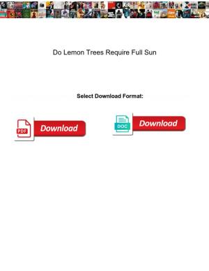 Do Lemon Trees Require Full Sun