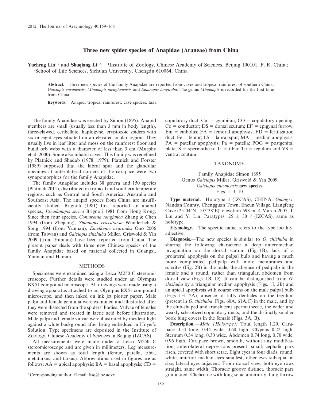 Three New Spider Species of Anapidae (Araneae) from China