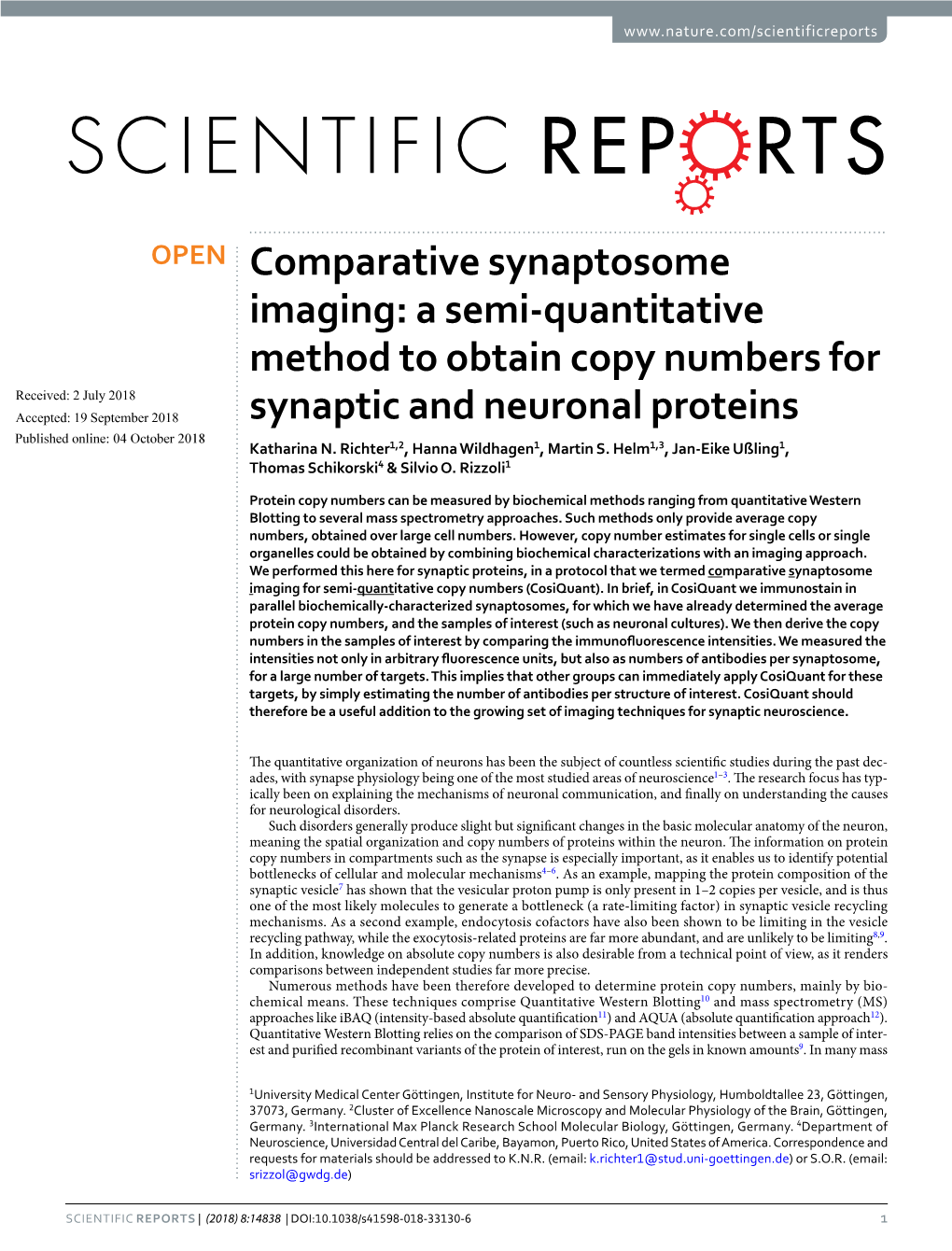 Comparative Synaptosome Imaging: a Semi-Quantitative Method to Obtain