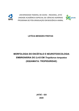 MORFOLOGIA DO ENCÉFALO E NEUROTOXICOLOGIA EMBRIONÁRIA DO 2,4-D EM Tropidurus Torquatus