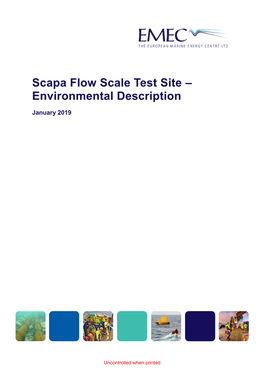 Scapa Flow Scale Site Environmental Description 2019