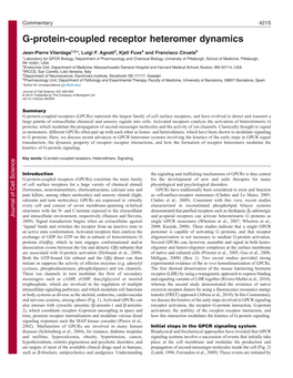 G-Protein-Coupled Receptor Heteromer Dynamics