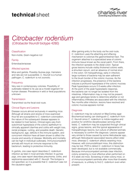 Citrobacter Rodentium (Citrobacter Freundii Biotype 4280)