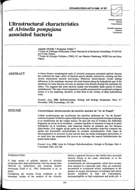 Ultrastructural Characteristics of Alvinella Pompejana Associated Bacteria