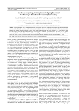 Morphology, Hatching Time and Offspring Behavior of Pseudoboa Nigra (Dipsadidae: Pseudoboini) from Caatinga