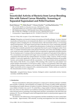 Insecticidal Activity of Bacteria from Larvae Breeding Site with Natural Larvae Mortality: Screening of Separated Supernatant and Pellet Fractions