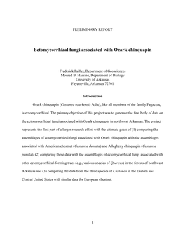 Ectomycorrhizal Fungi Associated with Ozark Chinquapin