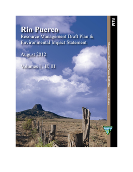 Rio Puerco Resource Managent Draft Plan, Volumn 1
