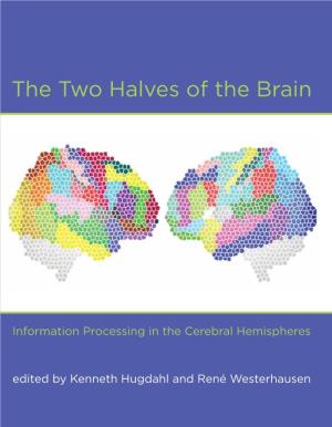 Information Processing in the Cerebral Hemispheres