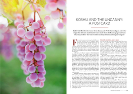 Koshu and the Uncanny: a Postcard