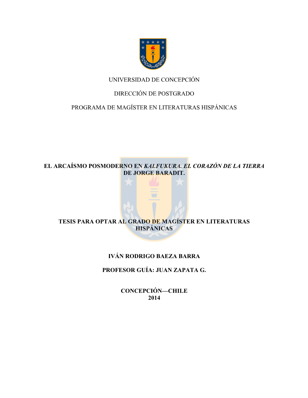 Universidad De Concepción Dirección