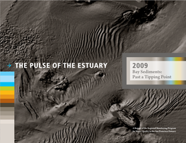 2009 the Pulse of the Estuary