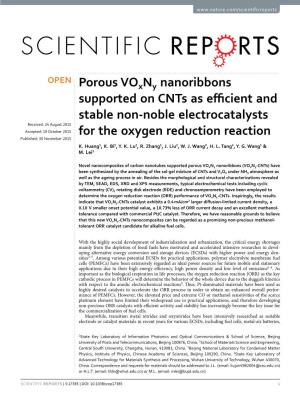 Porous Voxny Nanoribbons Supported on Cnts As Efficient And
